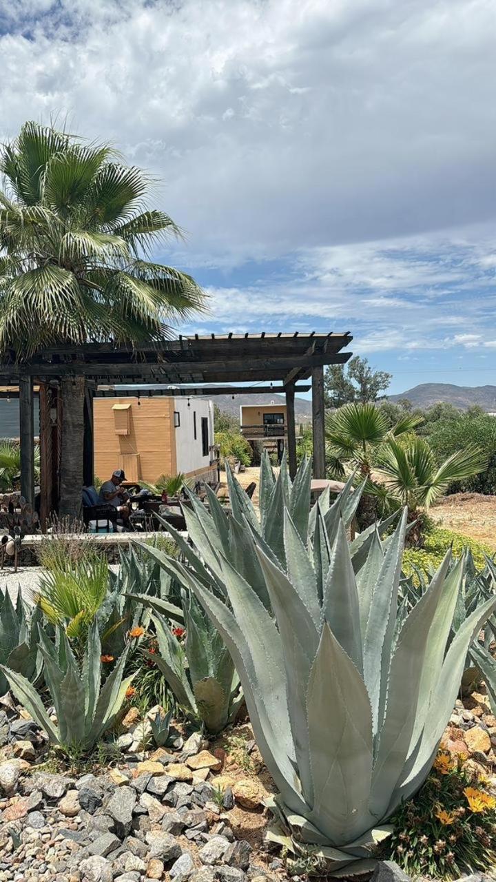 Rincon Del Corazon Villa Valle de Guadalupe Bagian luar foto