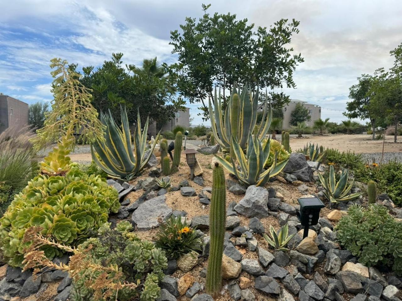 Rincon Del Corazon Villa Valle de Guadalupe Bagian luar foto